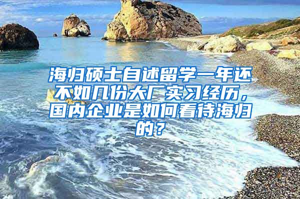 海归硕士自述留学一年还不如几份大厂实习经历，国内企业是如何看待海归的？