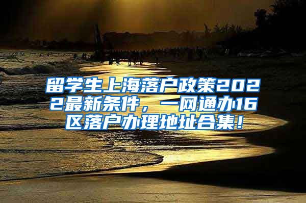 留学生上海落户政策2022最新条件，一网通办16区落户办理地址合集！