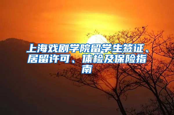 上海戏剧学院留学生签证、居留许可、体检及保险指南