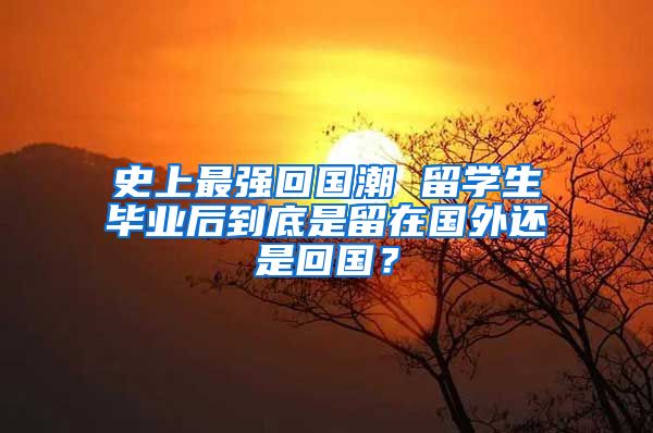 史上最强回国潮 留学生毕业后到底是留在国外还是回国？