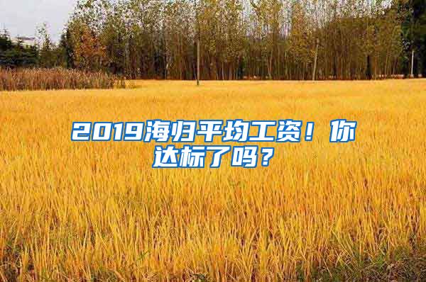 2019海归平均工资！你达标了吗？