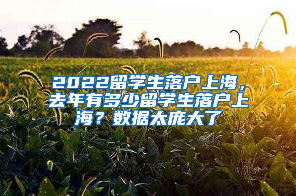 2022留学生落户上海，去年有多少留学生落户上海？数据太庞大了