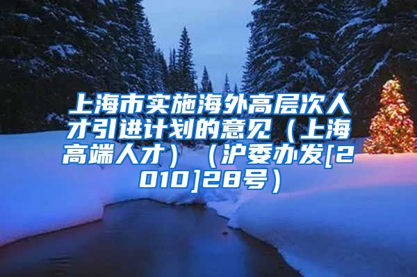 上海市实施海外高层次人才引进计划的意见（上海高端人才）（沪委办发[2010]28号）