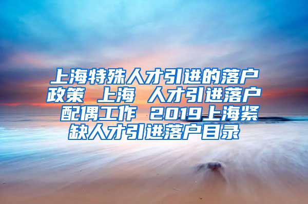 上海特殊人才引进的落户政策 上海 人才引进落户 配偶工作 2019上海紧缺人才引进落户目录