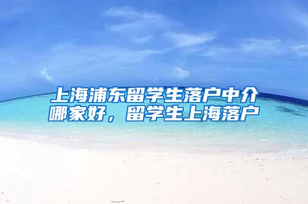 上海浦东留学生落户中介哪家好，留学生上海落户