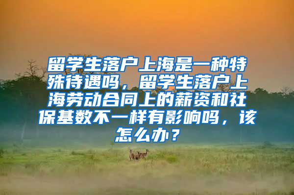 留学生落户上海是一种特殊待遇吗，留学生落户上海劳动合同上的薪资和社保基数不一样有影响吗，该怎么办？