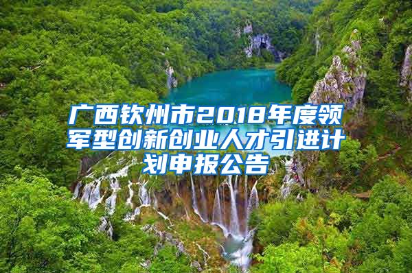 广西钦州市2018年度领军型创新创业人才引进计划申报公告