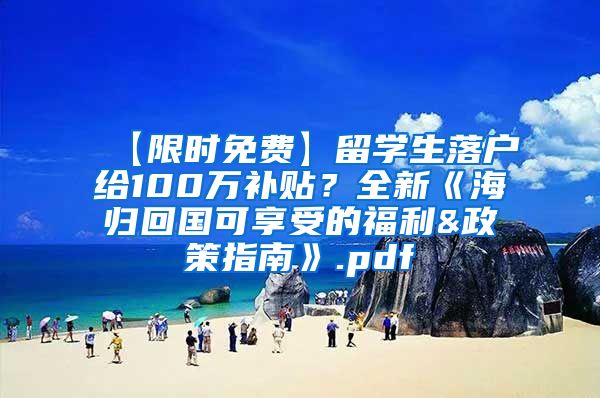 【限时免费】留学生落户给100万补贴？全新《海归回国可享受的福利&政策指南》.pdf