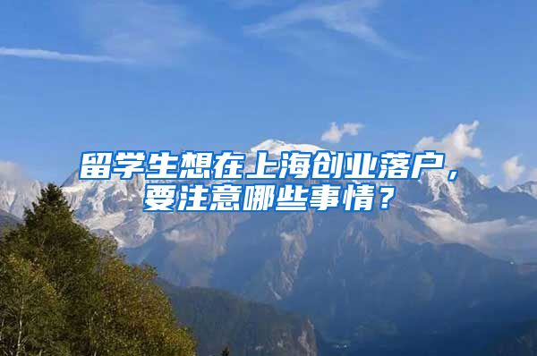 留学生想在上海创业落户，要注意哪些事情？