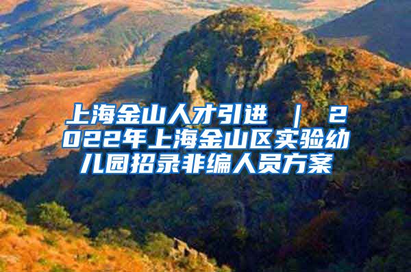 上海金山人才引进 ｜ 2022年上海金山区实验幼儿园招录非编人员方案