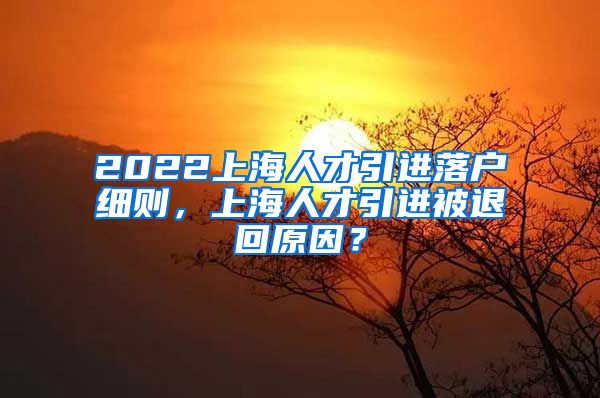 2022上海人才引进落户细则，上海人才引进被退回原因？