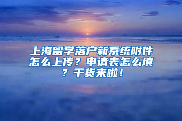 上海留学落户新系统附件怎么上传？申请表怎么填？干货来啦！