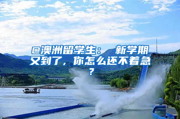 @澳洲留学生： 新学期又到了, 你怎么还不着急？