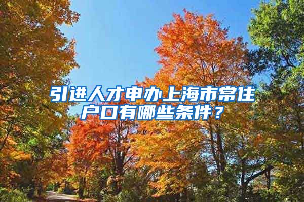 引进人才申办上海市常住户口有哪些条件？