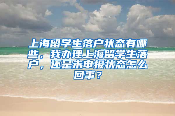 上海留学生落户状态有哪些，我办理上海留学生落户，还是未申报状态怎么回事？