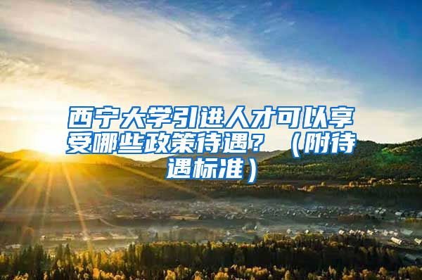 西宁大学引进人才可以享受哪些政策待遇？（附待遇标准）