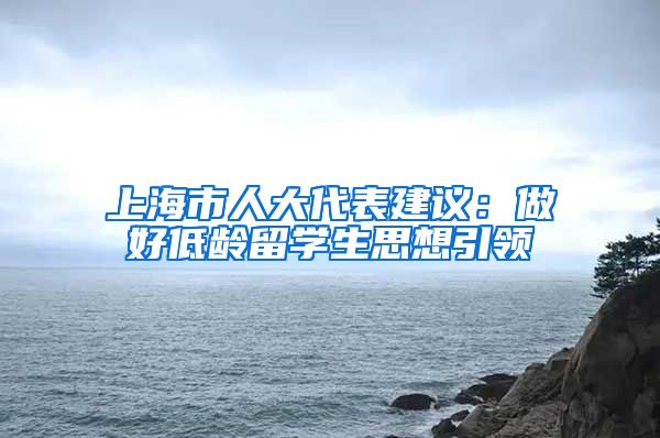 上海市人大代表建议：做好低龄留学生思想引领