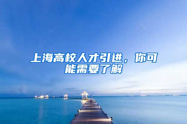 上海高校人才引进，你可能需要了解