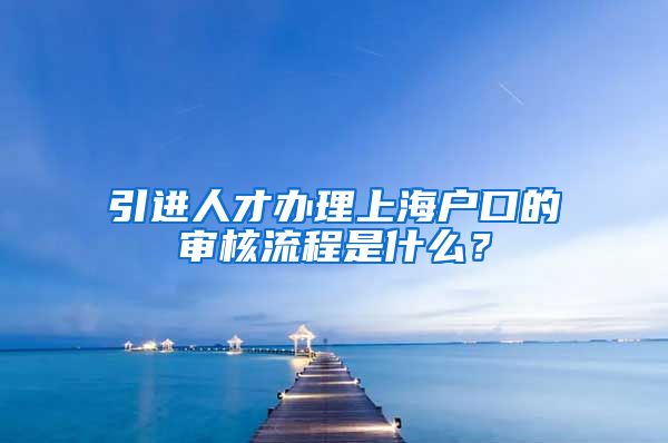 引进人才办理上海户口的审核流程是什么？