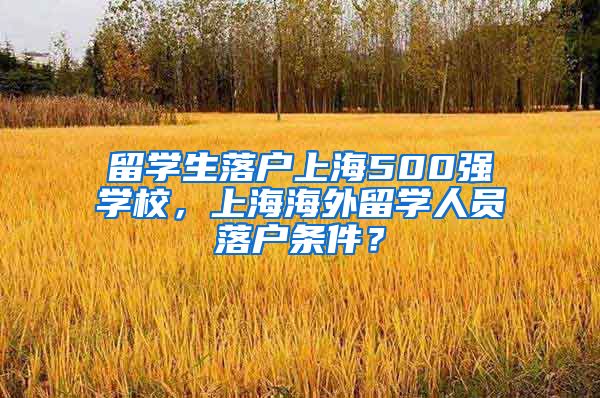 留学生落户上海500强学校，上海海外留学人员落户条件？