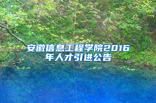 安徽信息工程学院2016年人才引进公告