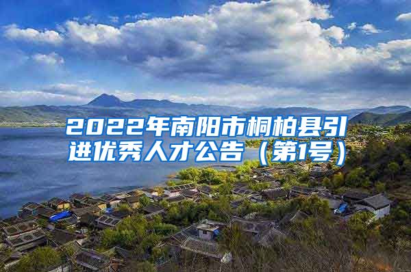 2022年南阳市桐柏县引进优秀人才公告（第1号）