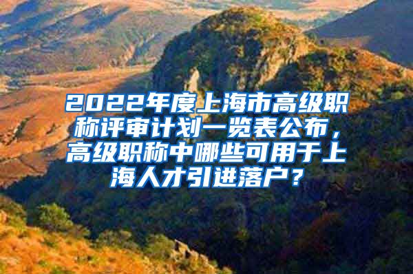 2022年度上海市高级职称评审计划一览表公布，高级职称中哪些可用于上海人才引进落户？