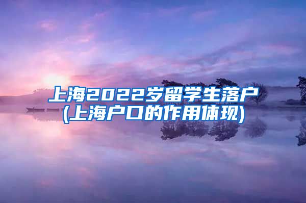 上海2022岁留学生落户(上海户口的作用体现)