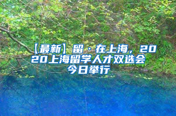 【最新】留·在上海，2020上海留学人才双选会今日举行