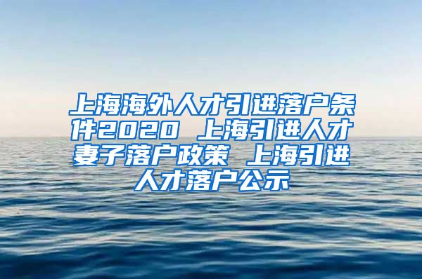 上海海外人才引进落户条件2020 上海引进人才妻子落户政策 上海引进人才落户公示