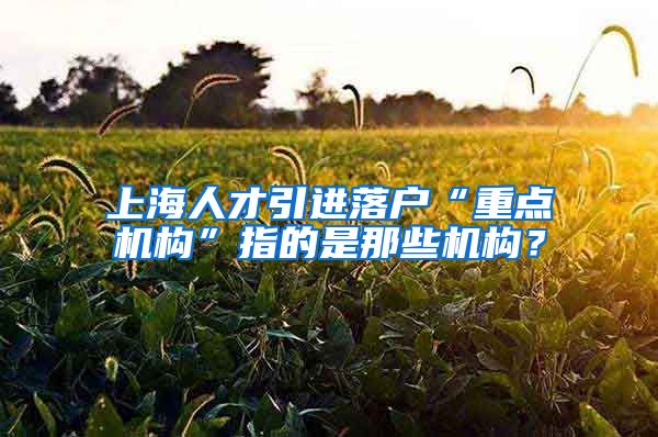 上海人才引进落户“重点机构”指的是那些机构？