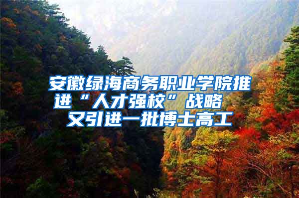 安徽绿海商务职业学院推进“人才强校”战略  又引进一批博士高工