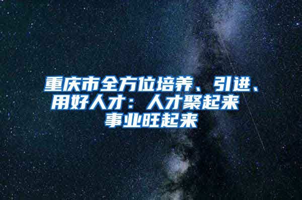 重庆市全方位培养、引进、用好人才：人才聚起来 事业旺起来