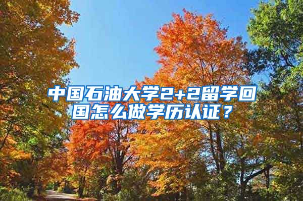 中国石油大学2+2留学回国怎么做学历认证？