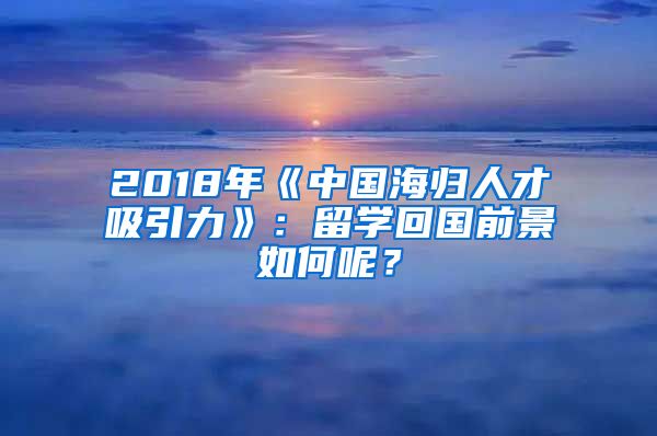 2018年《中国海归人才吸引力》：留学回国前景如何呢？