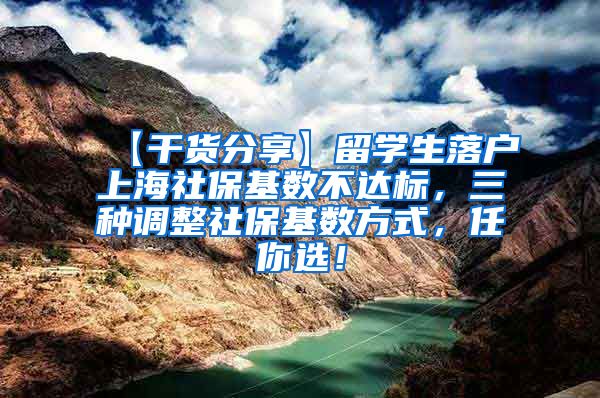 【干货分享】留学生落户上海社保基数不达标，三种调整社保基数方式，任你选！