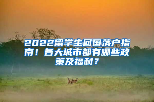 2022留学生回国落户指南！各大城市都有哪些政策及福利？