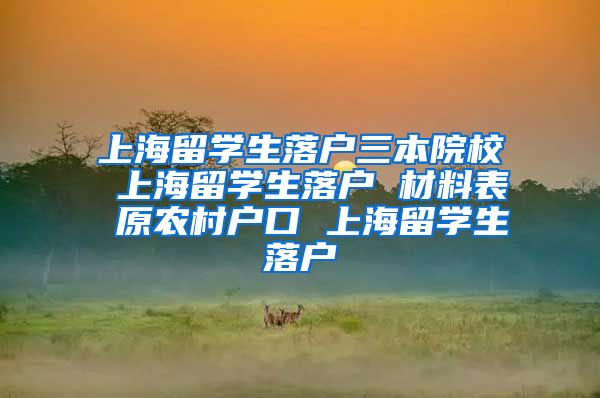 上海留学生落户三本院校 上海留学生落户 材料表 原农村户口 上海留学生落户