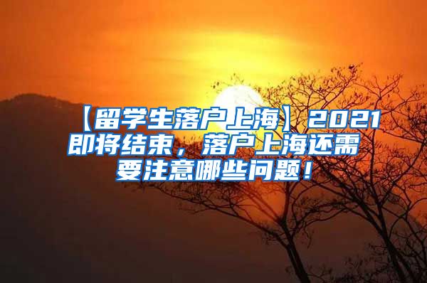 【留学生落户上海】2021即将结束，落户上海还需要注意哪些问题！