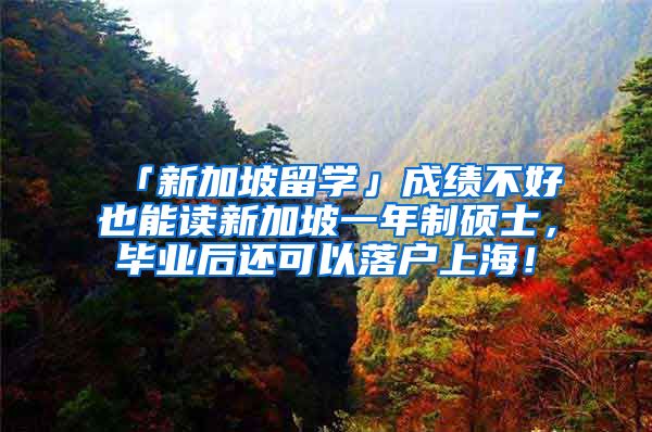 「新加坡留学」成绩不好也能读新加坡一年制硕士，毕业后还可以落户上海！