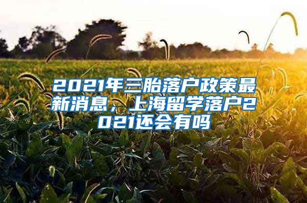 2021年三胎落户政策最新消息，上海留学落户2021还会有吗