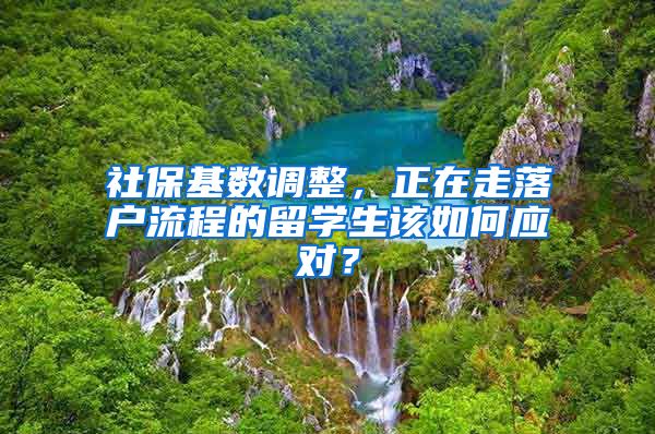 社保基数调整，正在走落户流程的留学生该如何应对？