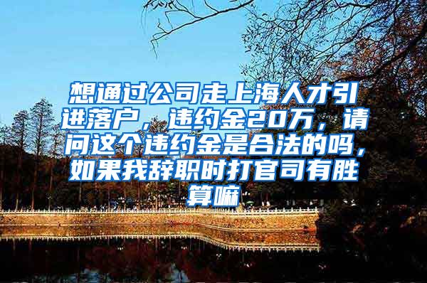 想通过公司走上海人才引进落户，违约金20万，请问这个违约金是合法的吗，如果我辞职时打官司有胜算嘛