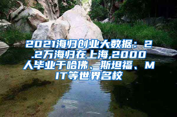 2021海归创业大数据：2.2万海归在上海,2000人毕业于哈佛、斯坦福、MIT等世界名校