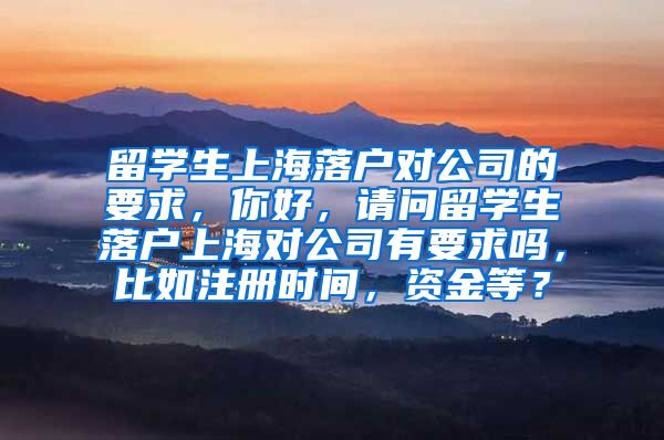 留学生上海落户对公司的要求，你好，请问留学生落户上海对公司有要求吗，比如注册时间，资金等？