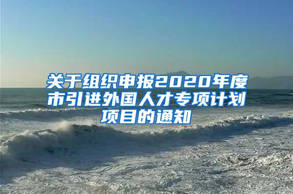 关于组织申报2020年度市引进外国人才专项计划项目的通知