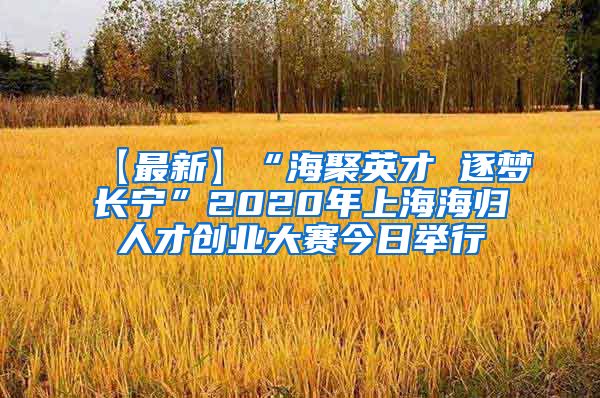 【最新】“海聚英才 逐梦长宁”2020年上海海归人才创业大赛今日举行