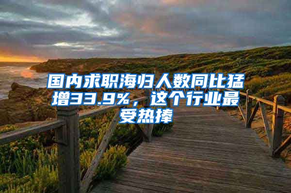 国内求职海归人数同比猛增33.9%，这个行业最受热捧→