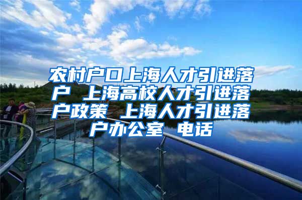 农村户口上海人才引进落户 上海高校人才引进落户政策 上海人才引进落户办公室 电话