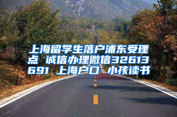 上海留学生落户浦东受理点 诚信办理微信32613691 上海户口 小孩读书